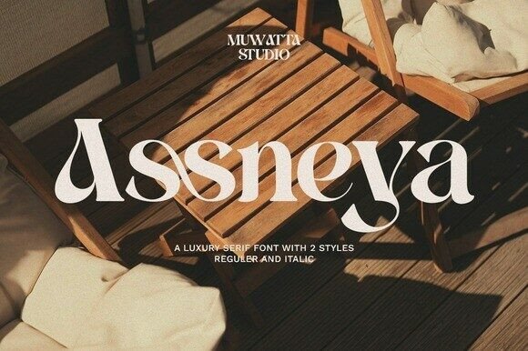 Assneya Font Review: Testing Modern Luxury Serifs